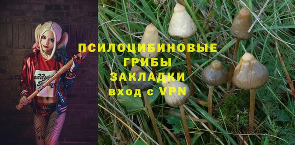 мескалин Богданович