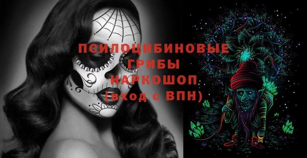 прущая мука Богородск