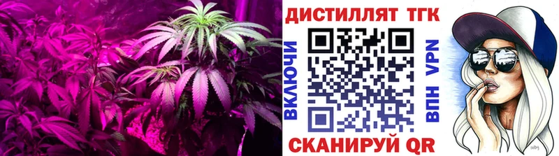 сколько стоит  Кораблино  ТГК Wax 